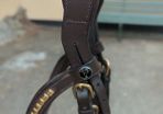 Bridle