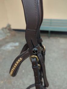 Bridle