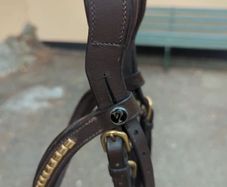 Bridle