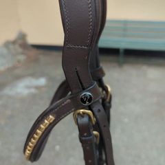 Bridle