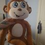 teddy Image 2