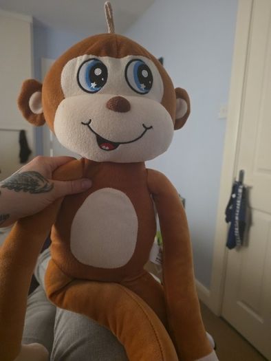 teddy