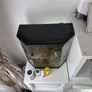 Fish Tank Image 3