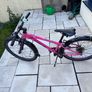 Trek Wahoo 20" Kids Bike Image 2