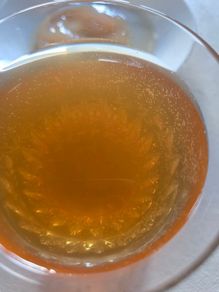 Healthy drink cambucha