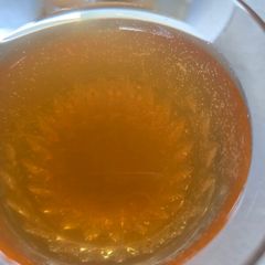 Healthy drink cambucha