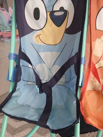 Bluey double stroller