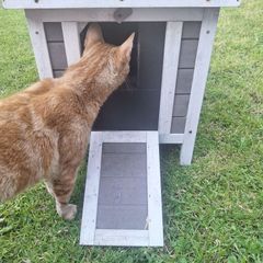 Bunny Business Wooden Cat House