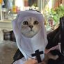Pet Halloween Costumes Image 7