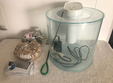 Cylindrical Fish Tank