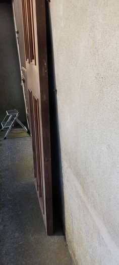 Pair of Mahogany  Doors