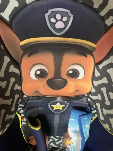 Paw Patrol Child Car Seat