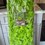 Solar Leaf Trellis  X 7 Packets. Image 2