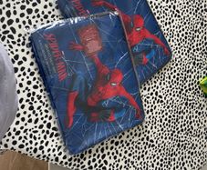 Spider-Man laptop cases x2
