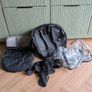 Doona Plus Car Seat and Stroller Image 2