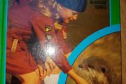 Vintage Annual - The Brownie 1986