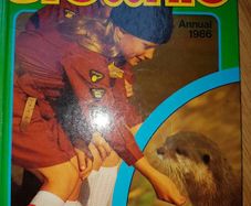 Vintage Annual - The Brownie 1986