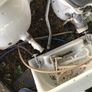 high cistern toilet Image 5