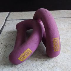 Everlast " For Her " 1.36kg Pink Hand Weights