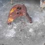 Jcb pins Image 9