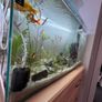 fish tank 115L Image 2