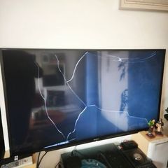 Sony 48" Smart TV with cracked screen (for parts/repair)