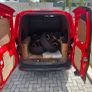 Ford Transit Courier Image 6