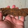Aquarium Driftwood Size Nano Image 2
