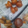 large bundle of pine knobs Image 4