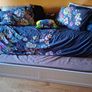 Day Bed Image 2