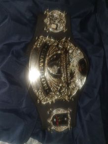 Wwe World Wrestling Entertainment Champion Belt