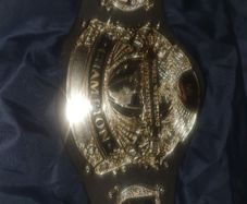 Wwe World Wrestling Entertainment Champion Belt