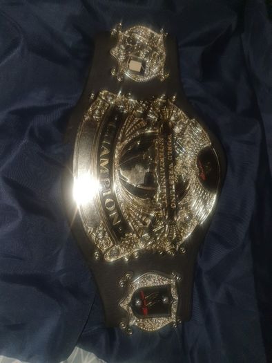 Wwe World Wrestling Entertainment Champion Belt