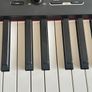casio digital piano CDP-S110 Image 3