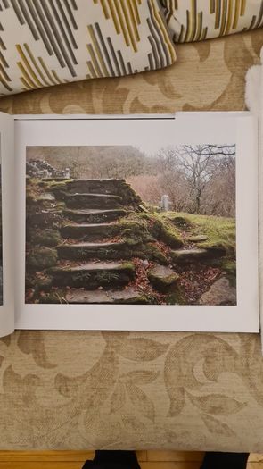 Stories From Life By Ignatius Waters. C. P. Beautiful Illustrated Large Volume Hardback With Dustjacket In Very Good Condition.make Lovely Christmas Present. 34.