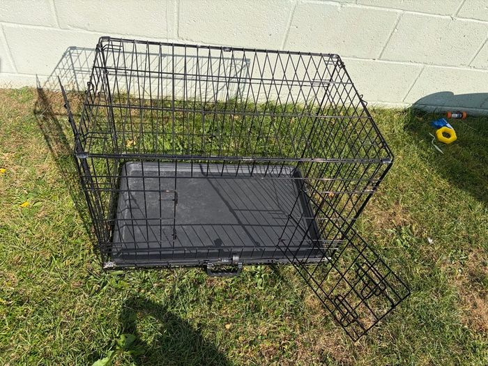 dog cage