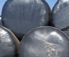 Silage for sale