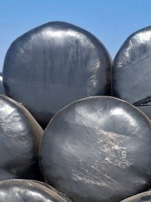 Silage for sale