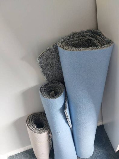 carpet