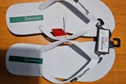 Ipanema Classic Brasil II Flip Flops
