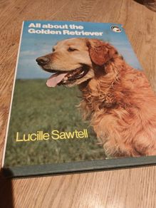 All About The Golden Retriever
