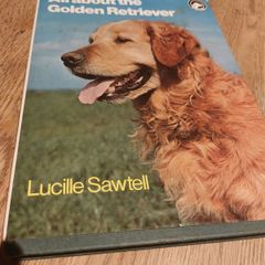 All About The Golden Retriever