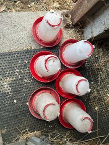 poultry water drinkers