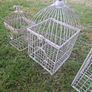 Bird Cage / flower display / floral arrangements Image 4