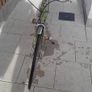 Bike Image 2