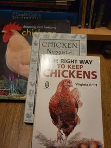 keeping hens