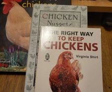 keeping hens