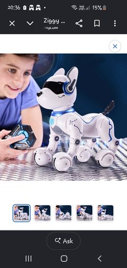 Ziggy dog robot