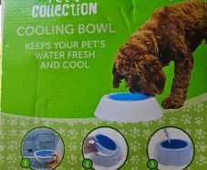 Pet Cooling Bowl
