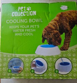 Pet Cooling Bowl
